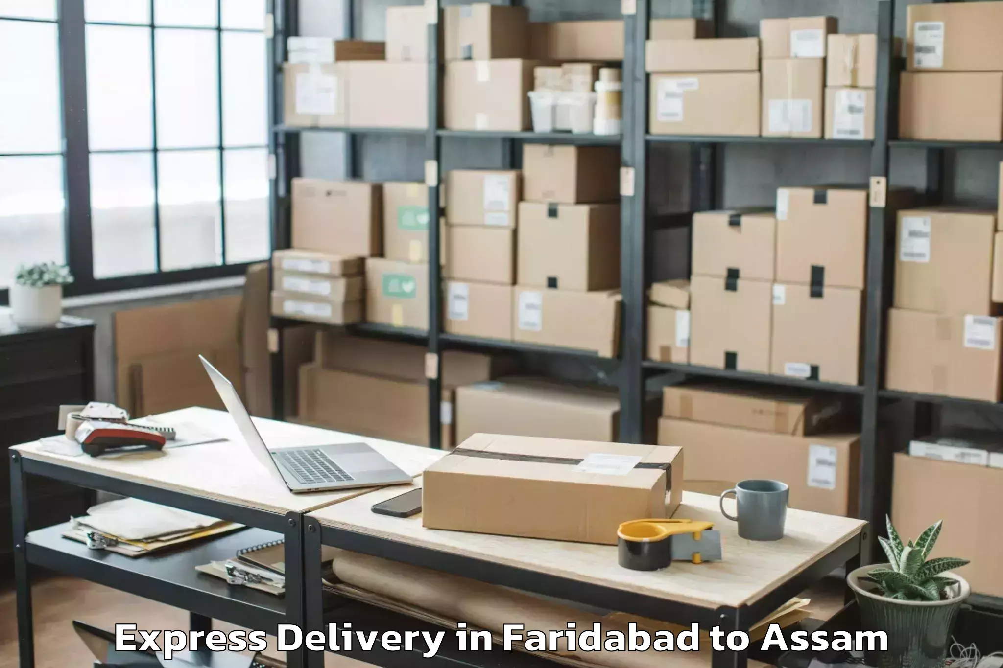 Leading Faridabad to Kaliabor Express Delivery Provider